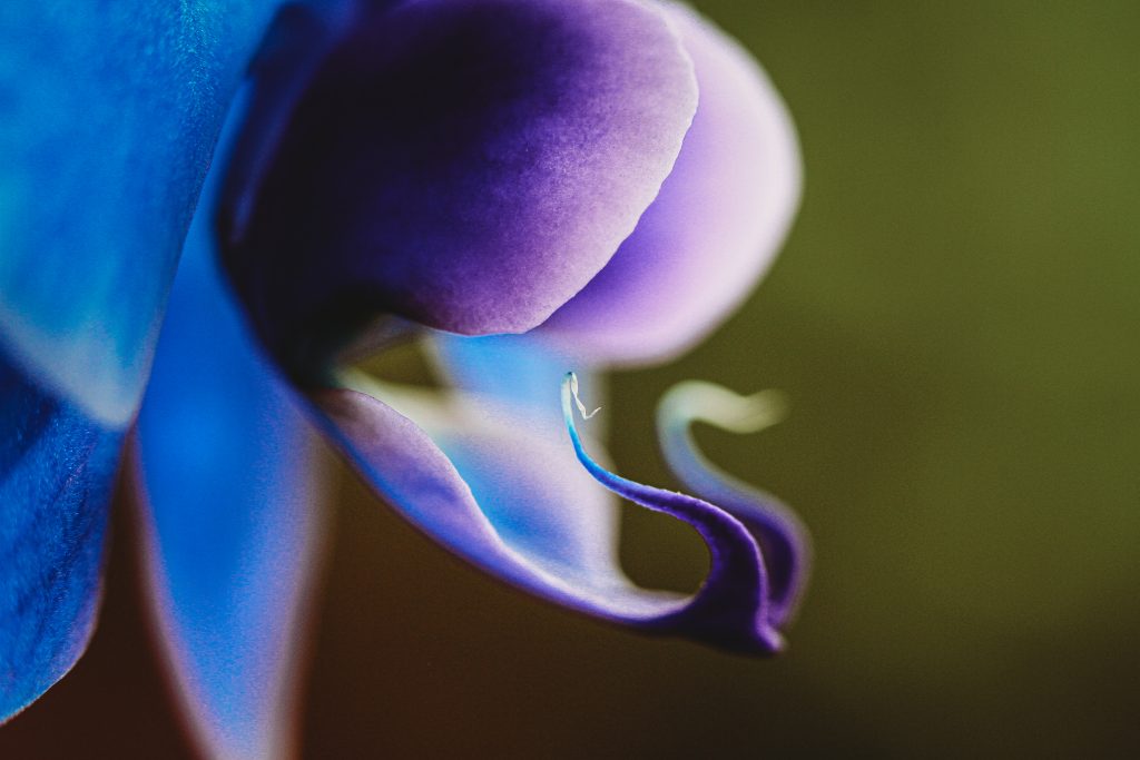 Rebalance & Retrust Circle of LIfe