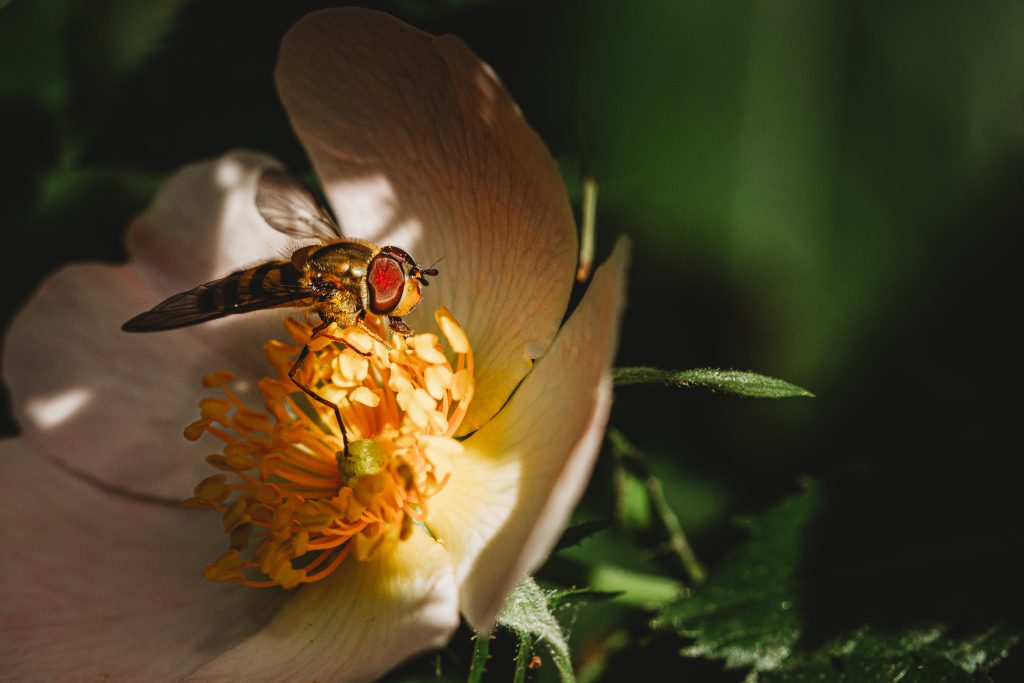 Rebalance & Retrust Circle of LIfe