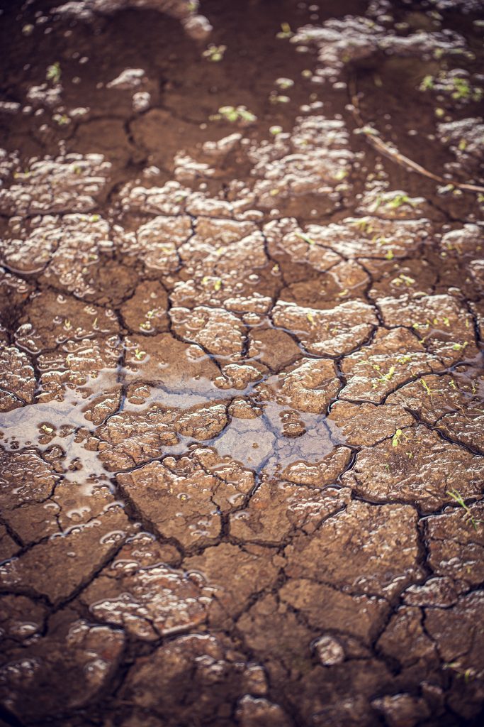 Rebalance & Retrust Circle of LIfe